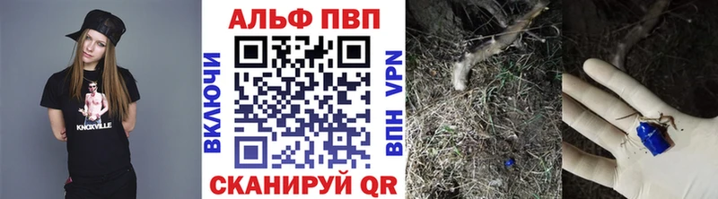 APVP СК Кириллов