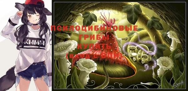 таблы Няндома